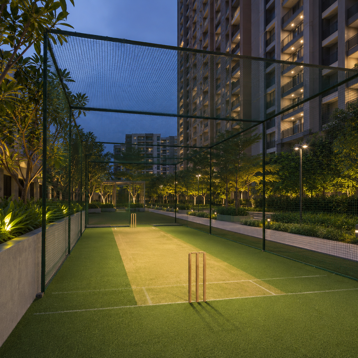 Cricket Court